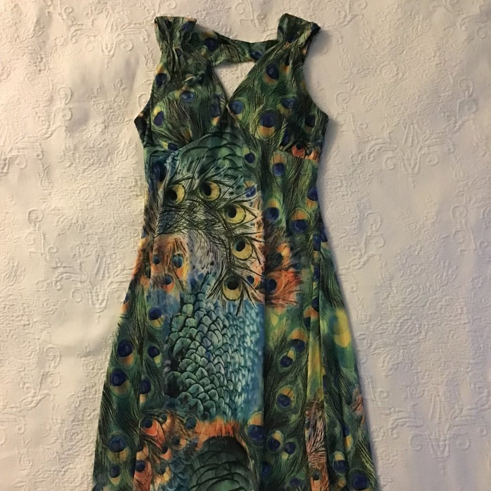 Peacock Swing Dress